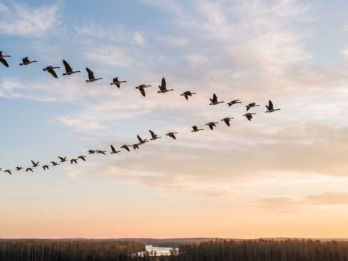 Comment bien réussir sa migration SEO ?