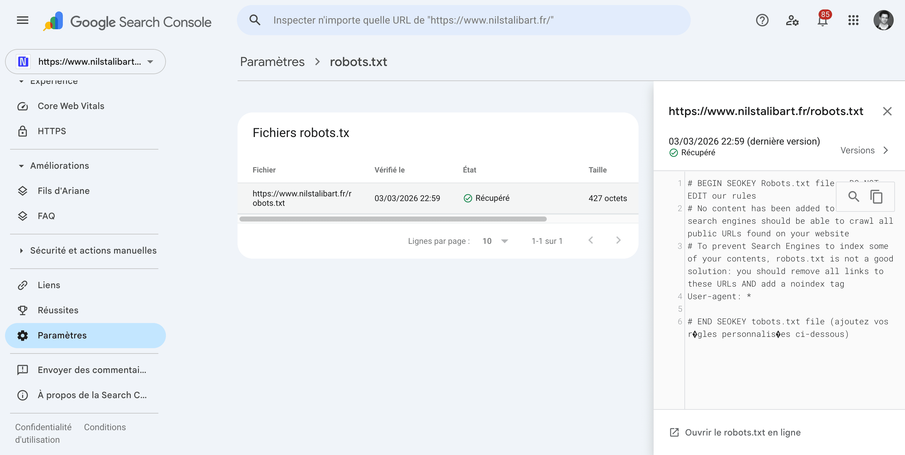 The Google Search Console robots.txt report